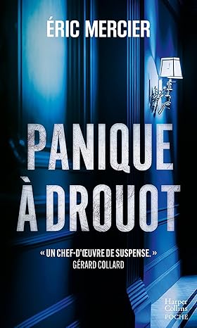 Couverture du livre Panique à drouot