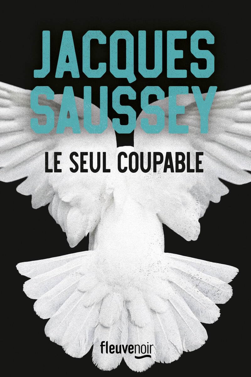 Couverture du livre Le seul coupable
